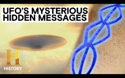 Ancient Aliens: Indecipherable Alien Codes (Season 20)
