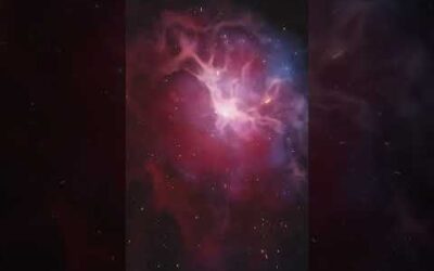 What do aliens think of Earth and humanity ? #space  #alien #factorbit