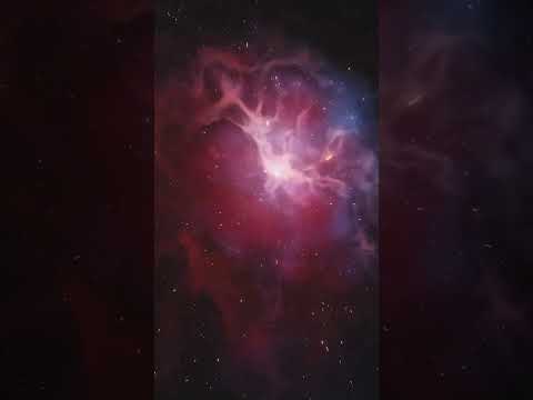 What do aliens think of Earth and humanity ? #space  #alien #factorbit
