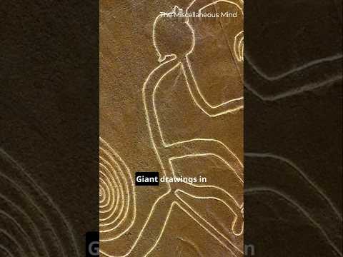 The Nazca Lines: A Message to the Stars? 🌌 #NazcaLines #Space #Aliens #Shorts