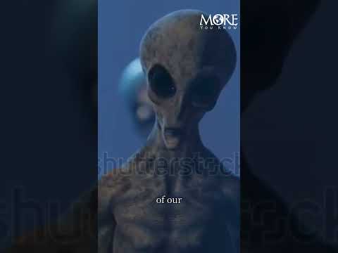 A Golden Message to Aliens | Voyager 1 Golden disk.