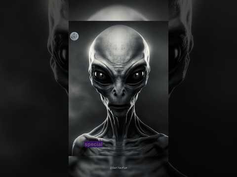Voyager's Secret Message! What If Aliens Hear It?