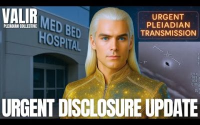 "The Pleiadian Emissaries Are Concerned…" | The Pleiadians | VALIR