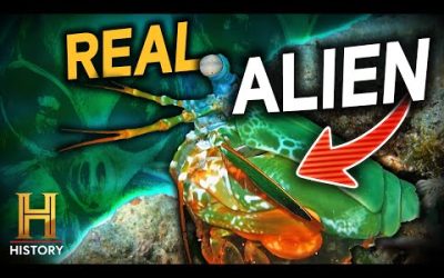 When Dragons Ruled the Skies | Ancient Aliens